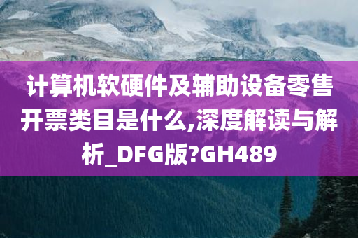 计算机软硬件及辅助设备零售开票类目是什么,深度解读与解析_DFG版?GH489