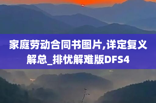 家庭劳动合同书图片,详定复义解总_排忧解难版DFS4