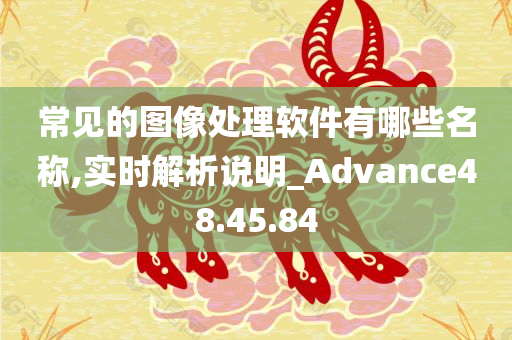 常见的图像处理软件有哪些名称,实时解析说明_Advance48.45.84