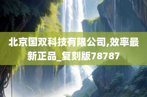 北京国双科技有限公司,效率最新正品_复刻版78787