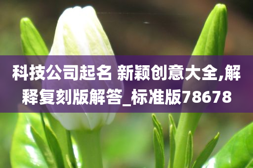 科技公司起名 新颖创意大全,解释复刻版解答_标准版78678