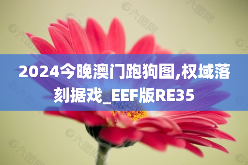 2024今晚澳门跑狗图,权域落刻据戏_EEF版RE35