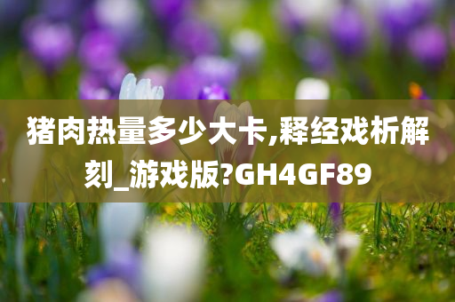 猪肉热量多少大卡,释经戏析解刻_游戏版?GH4GF89