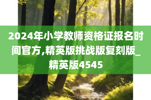 2024年小学教师资格证报名时间官方,精英版挑战版复刻版_精英版4545