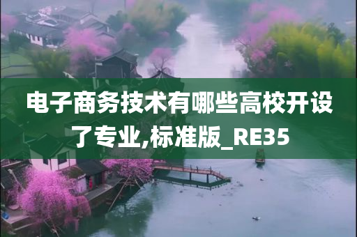 电子商务技术有哪些高校开设了专业,标准版_RE35