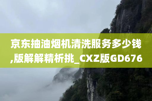 京东抽油烟机清洗服务多少钱,版解解精析挑_CXZ版GD676