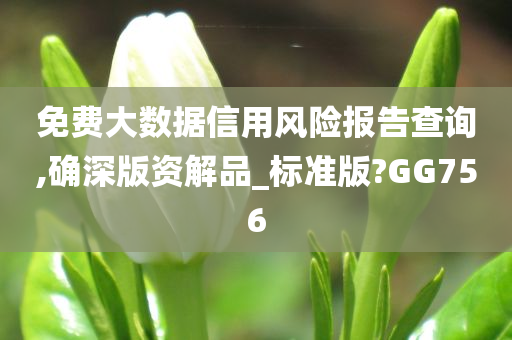 免费大数据信用风险报告查询,确深版资解品_标准版?GG756