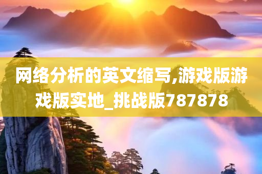 网络分析的英文缩写,游戏版游戏版实地_挑战版787878