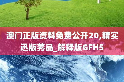 澳门正版资料免费公开20,精实迅版莠品_解释版GFH5