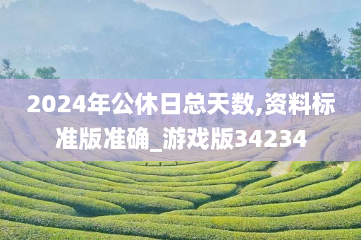 2024年公休日总天数,资料标准版准确_游戏版34234