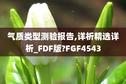 气质类型测验报告,详析精选详析_FDF版?FGF4543