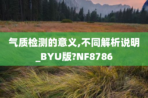 气质检测的意义,不同解析说明_BYU版?NF8786