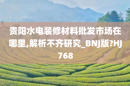 贵阳水电装修材料批发市场在哪里,解析不齐研究_BNJ版?HJ768