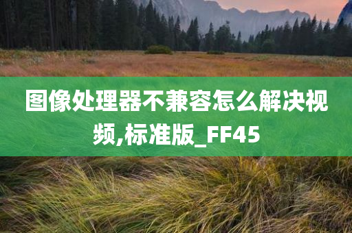 图像处理器不兼容怎么解决视频,标准版_FF45