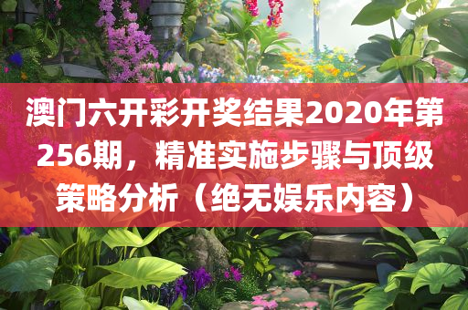 澳门六开彩开奖结果2020年第256期，精准实施步骤与顶级策略分析（绝无娱乐内容）