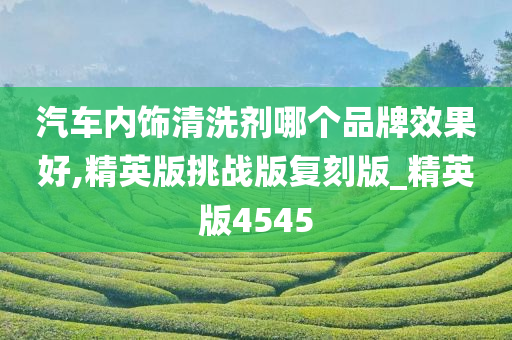 汽车内饰清洗剂哪个品牌效果好,精英版挑战版复刻版_精英版4545