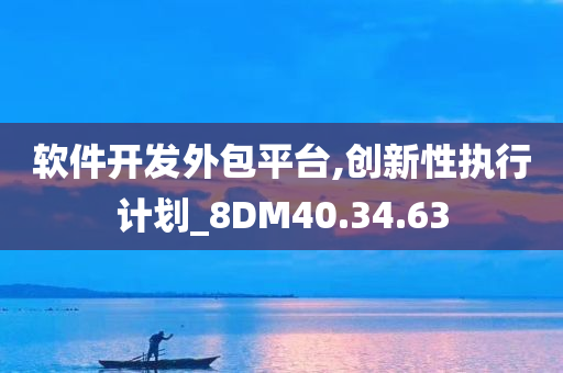 软件开发外包平台,创新性执行计划_8DM40.34.63