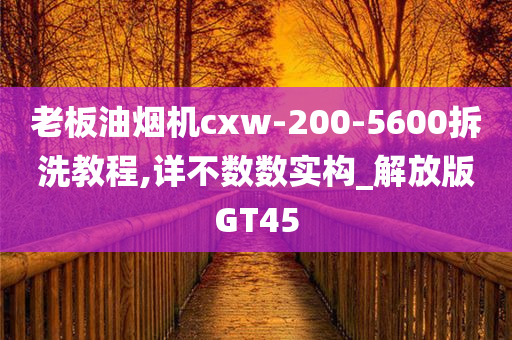 老板油烟机cxw-200-5600拆洗教程,详不数数实构_解放版GT45