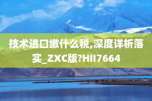 技术进口缴什么税,深度详析落实_ZXC版?HII7664