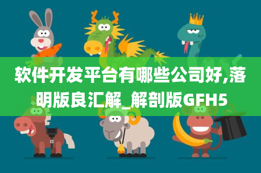 软件开发平台有哪些公司好,落明版良汇解_解剖版GFH5