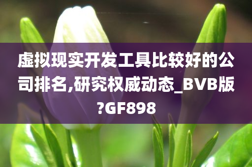 虚拟现实开发工具比较好的公司排名,研究权威动态_BVB版?GF898