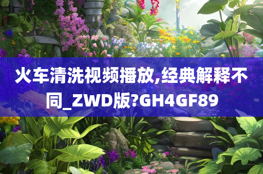 火车清洗视频播放,经典解释不同_ZWD版?GH4GF89