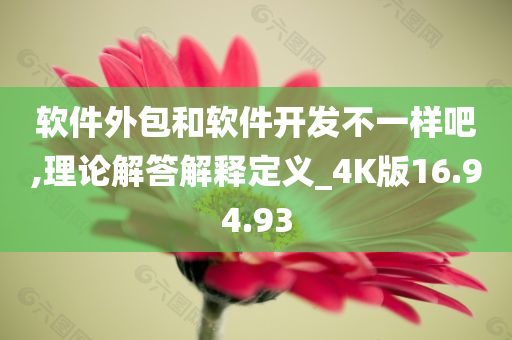 软件外包和软件开发不一样吧,理论解答解释定义_4K版16.94.93