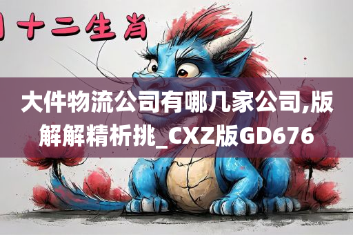 大件物流公司有哪几家公司,版解解精析挑_CXZ版GD676