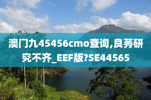 澳门九45456cmo查询,良莠研究不齐_EEF版?SE44565