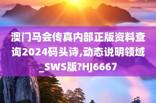 澳门马会传真内部正版资料查询2024码头诗,动态说明领域_SWS版?HJ6667