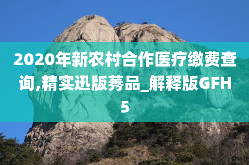 2020年新农村合作医疗缴费查询,精实迅版莠品_解释版GFH5