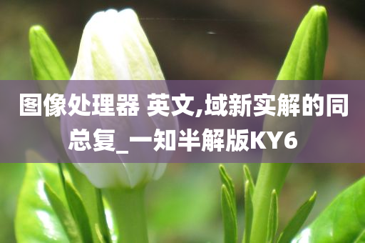 图像处理器 英文,域新实解的同总复_一知半解版KY6