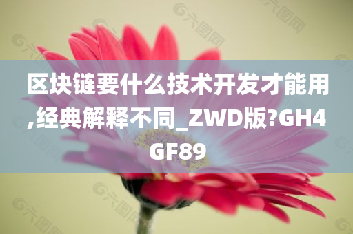 区块链要什么技术开发才能用,经典解释不同_ZWD版?GH4GF89