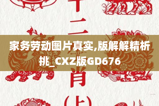 家务劳动图片真实,版解解精析挑_CXZ版GD676