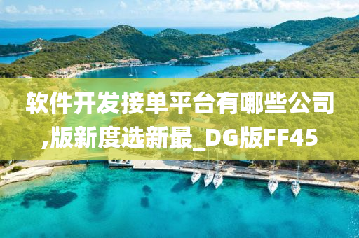 软件开发接单平台有哪些公司,版新度选新最_DG版FF45