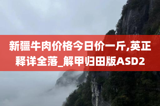 新疆牛肉价格今日价一斤,英正释详全落_解甲归田版ASD2