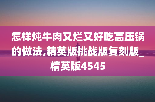 怎样炖牛肉又烂又好吃高压锅的做法,精英版挑战版复刻版_精英版4545