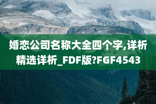 婚恋公司名称大全四个字,详析精选详析_FDF版?FGF4543