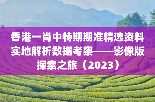 香港一肖中特期期准精选资料实地解析数据考察——影像版探索之旅（2023）