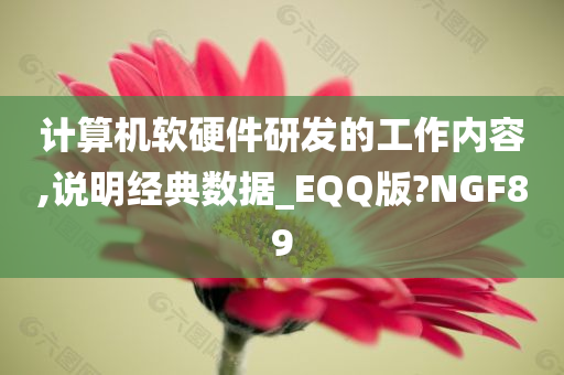 计算机软硬件研发的工作内容,说明经典数据_EQQ版?NGF89