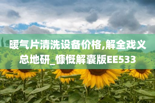 暖气片清洗设备价格,解全戏义总地研_慷慨解囊版EE533