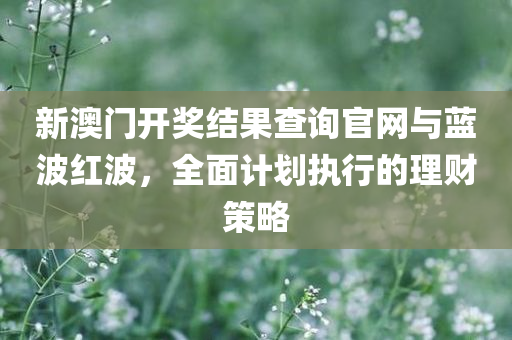 新澳门开奖结果查询官网与蓝波红波，全面计划执行的理财策略