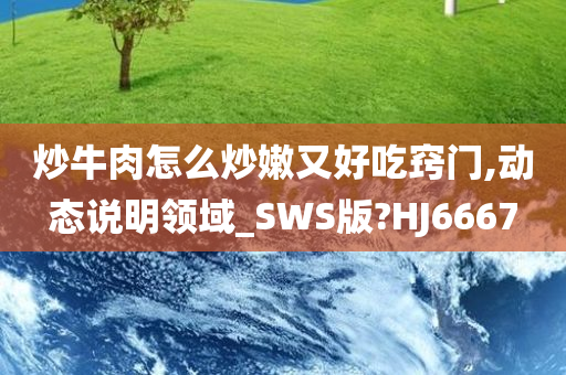 炒牛肉怎么炒嫩又好吃窍门,动态说明领域_SWS版?HJ6667