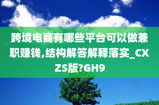 跨境电商有哪些平台可以做兼职赚钱,结构解答解释落实_CXZS版?GH9