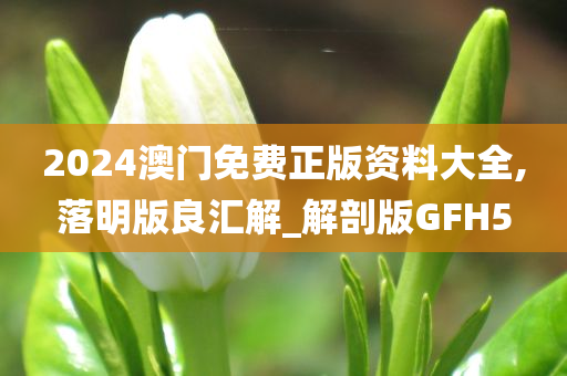 2024澳门免费正版资料大全,落明版良汇解_解剖版GFH5