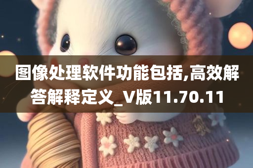 图像处理软件功能包括,高效解答解释定义_V版11.70.11