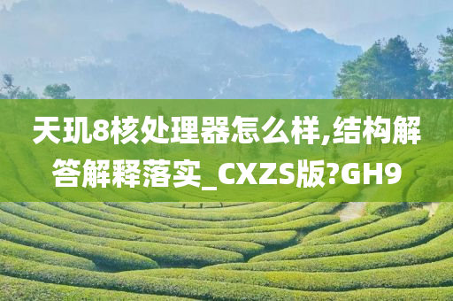 天玑8核处理器怎么样,结构解答解释落实_CXZS版?GH9