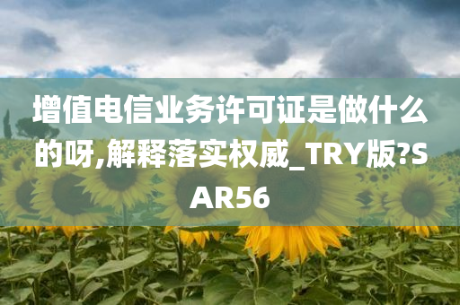 增值电信业务许可证是做什么的呀,解释落实权威_TRY版?SAR56