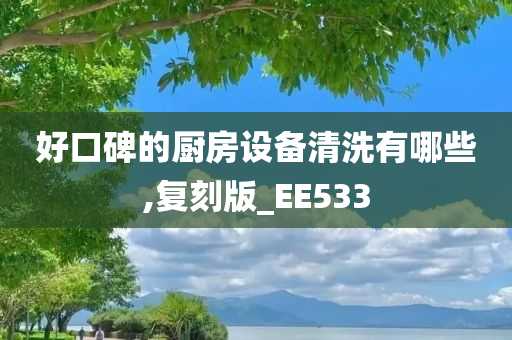 好口碑的厨房设备清洗有哪些,复刻版_EE533