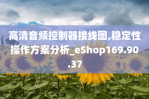 高清音频控制器接线图,稳定性操作方案分析_eShop169.90.37